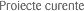 Proiecte curente